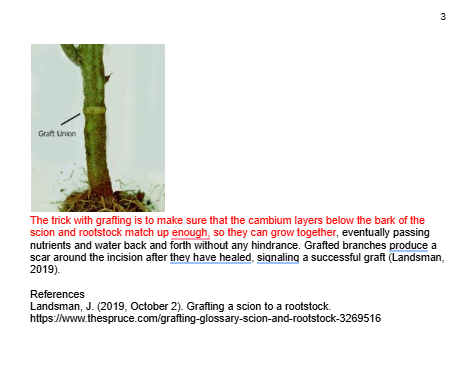 “Screenshot of page two of a simulated learning object before accessibility revisions, showing multiple accessibility issues such as inconsistent heading structure, dense text, and lack of visual hierarchy.”
