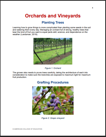 “Screenshot of page one of a simulated learning object after accessibility revisions, showing corrected accessibility errors including proper heading structure, improved color contrast, revised font size and styles, clear title, and descriptive alt text applied to visual elements.”