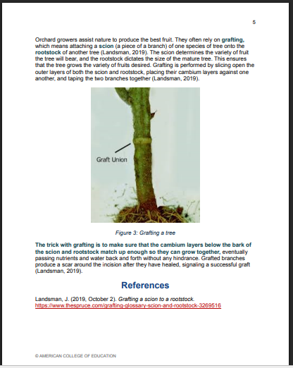 “Screenshot of page two of a simulated learning object after accessibility revisions, showing corrected accessibility errors including proper heading structure, improved color contrast, revised font size and styles, clear title, and descriptive alt text applied to visual elements.”