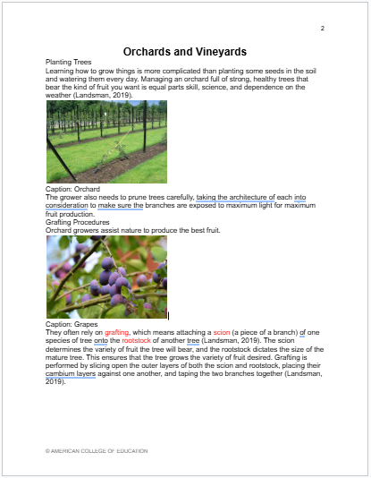 “Screenshot of page one of a simulated learning object prior to accessibility revisions, showing multiple accessibility issues such as inconsistent heading structure, dense text, and lack of visual hierarchy.”